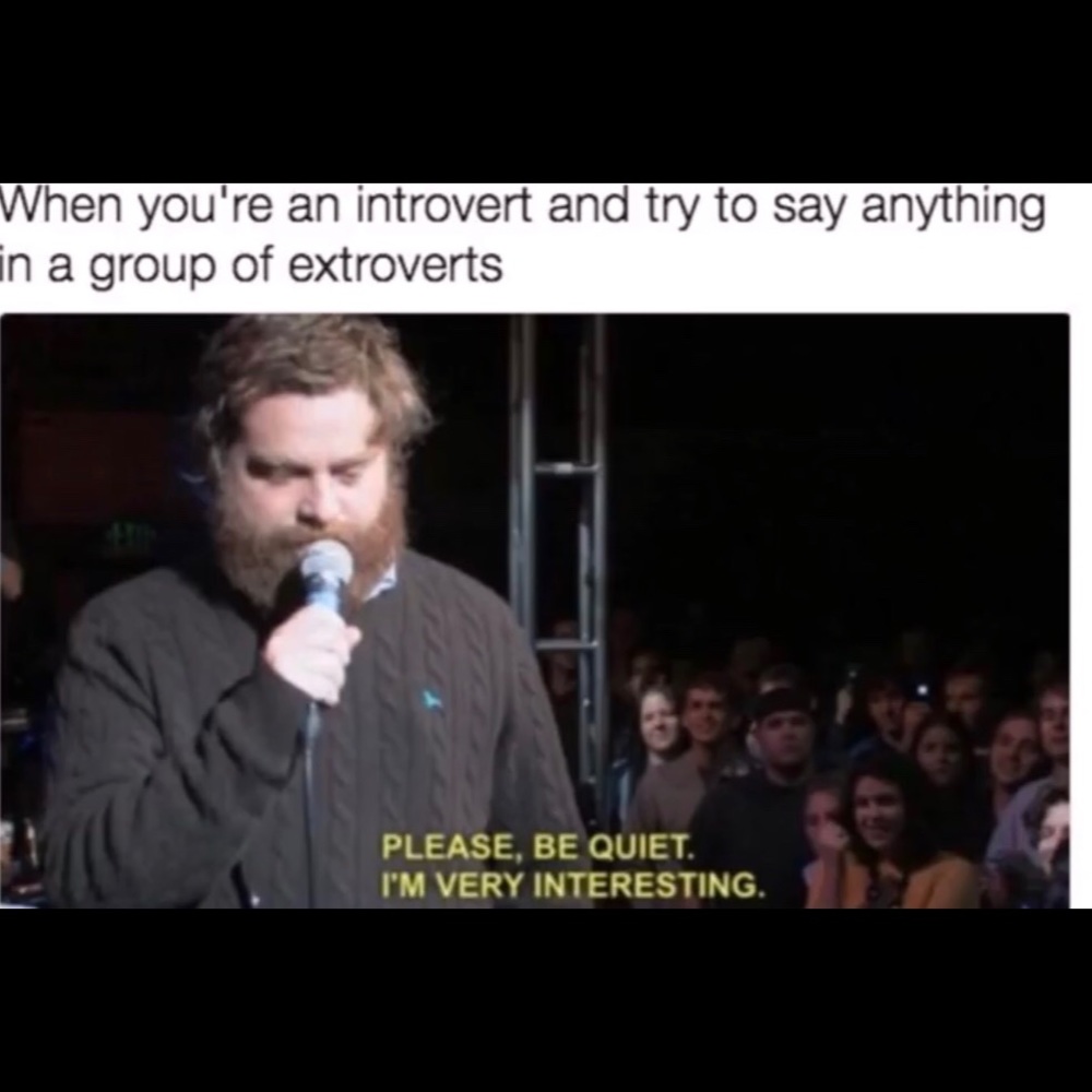Meet your Posher, Riley - Picture 7 of 7